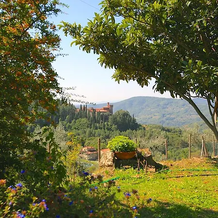 Villa Poggiolino By Posarellivillas